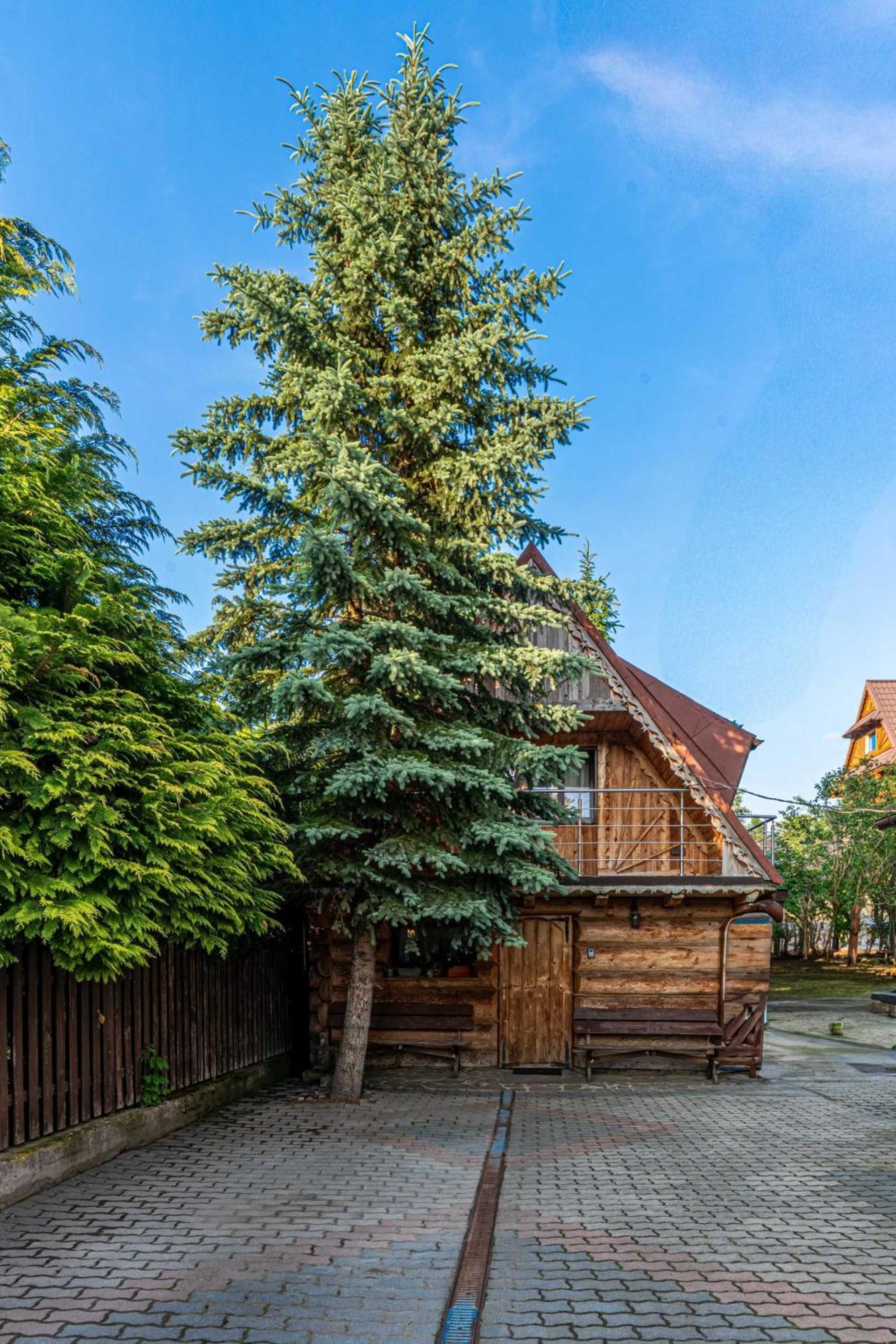 Appartamento Kluska Zakopane